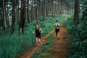 BIB: 
                            <button type="button" onclick="openModal(25655398)" class="btn btn-primary btn-sm float-right btn-popup" data-toggle="modal" data-target=".modal-high-quality">
                        <i class="fas fa-shopping-cart"></i> Add to Cart
                    </button>
                                            <button type="button" onclick="isThisMe(25655398, true)" class="btn btn-success btn-sm float-right btn-popup btn-isme hidden" data-toggle="tooltip" data-placement="bottom" title="นี่คือรูปของคุณใช่ไหม คลิกที่นี่เพื่อเอาเข้าอัลบั้ม">
                        <i class="fas fa-plus"></i> Add to album
                    </button>
                    <button type="button" onclick="isThisMe(25655398, false)" class="btn btn-warning btn-sm float-right btn-popup btn-isnotme hidden">
                        <i class="fas fa-ban"></i> Remove from album
                    </button>